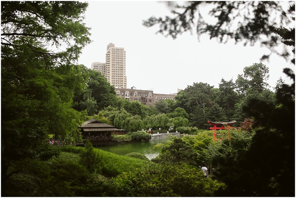  japanese pond view at brooklyn botanic garden 