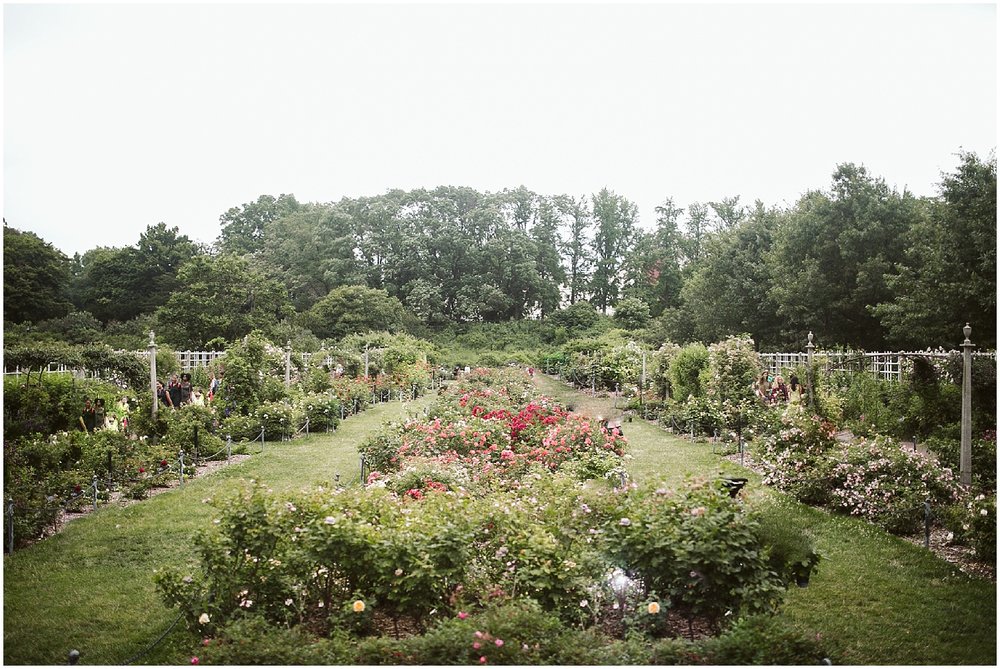 outdoor wedding at brooklyn botanic garden 