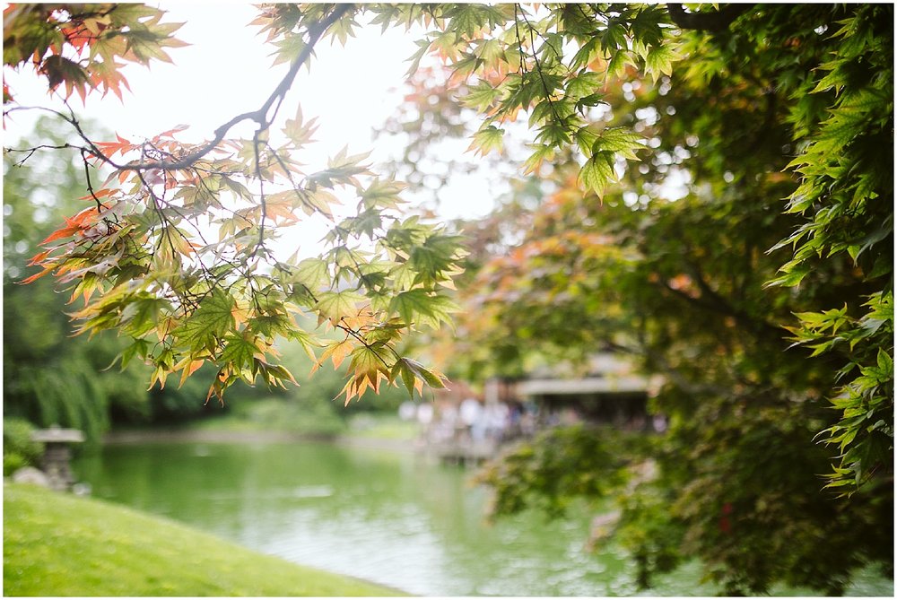  fall at japanese garden brooklyn botanic garden 